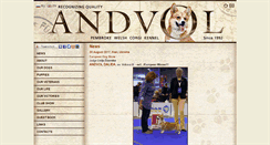 Desktop Screenshot of andvol.ru